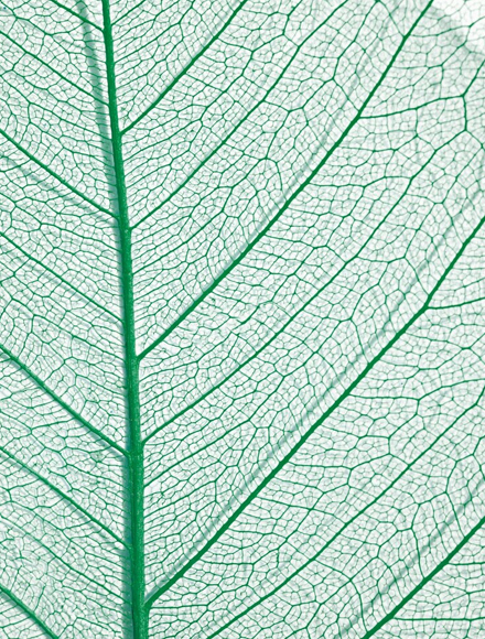 Aras Iranian Home Appliances Manufacturing Co کارخانجات لوازم خانگی ایرانیان ارس RIWALD ریوالد RABiLUX رابیلوکس